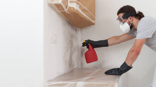 Professional Crawl Space Mold Removal technician working in Peabody, MA