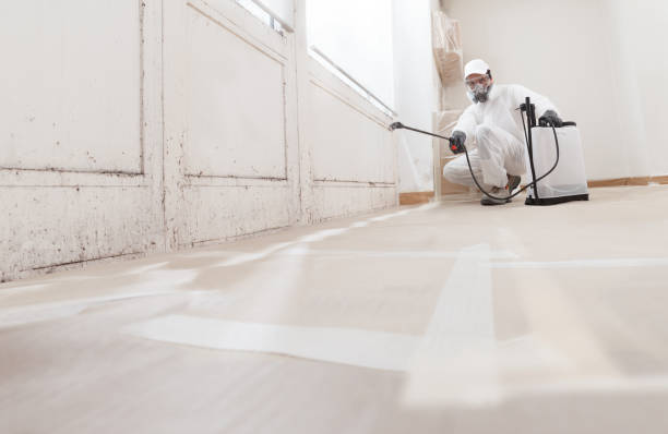 24/7 Emergency Crawl Space Mold Removal experts in Peabody, MA