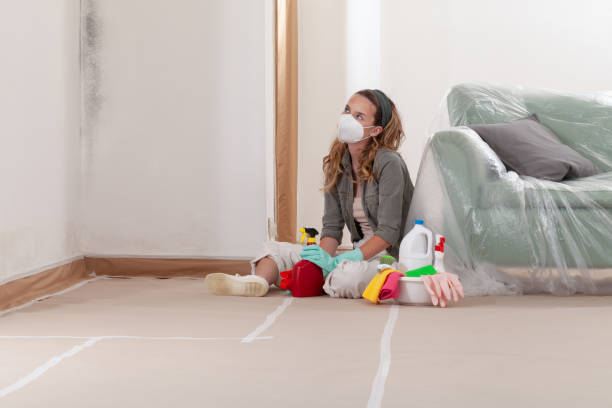 Reliable Crawl Space Mold Removal contractor in Peabody, MA by WQB Mold Removal