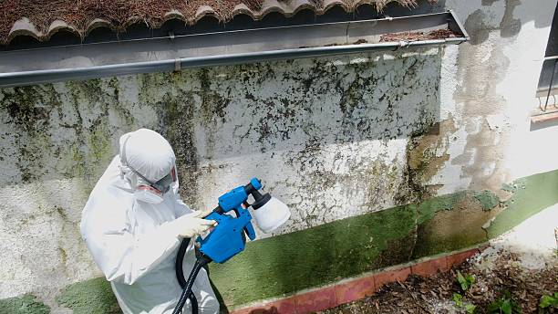 Top rated local Crawl Space Mold Removal specialists in Peabody, MA
